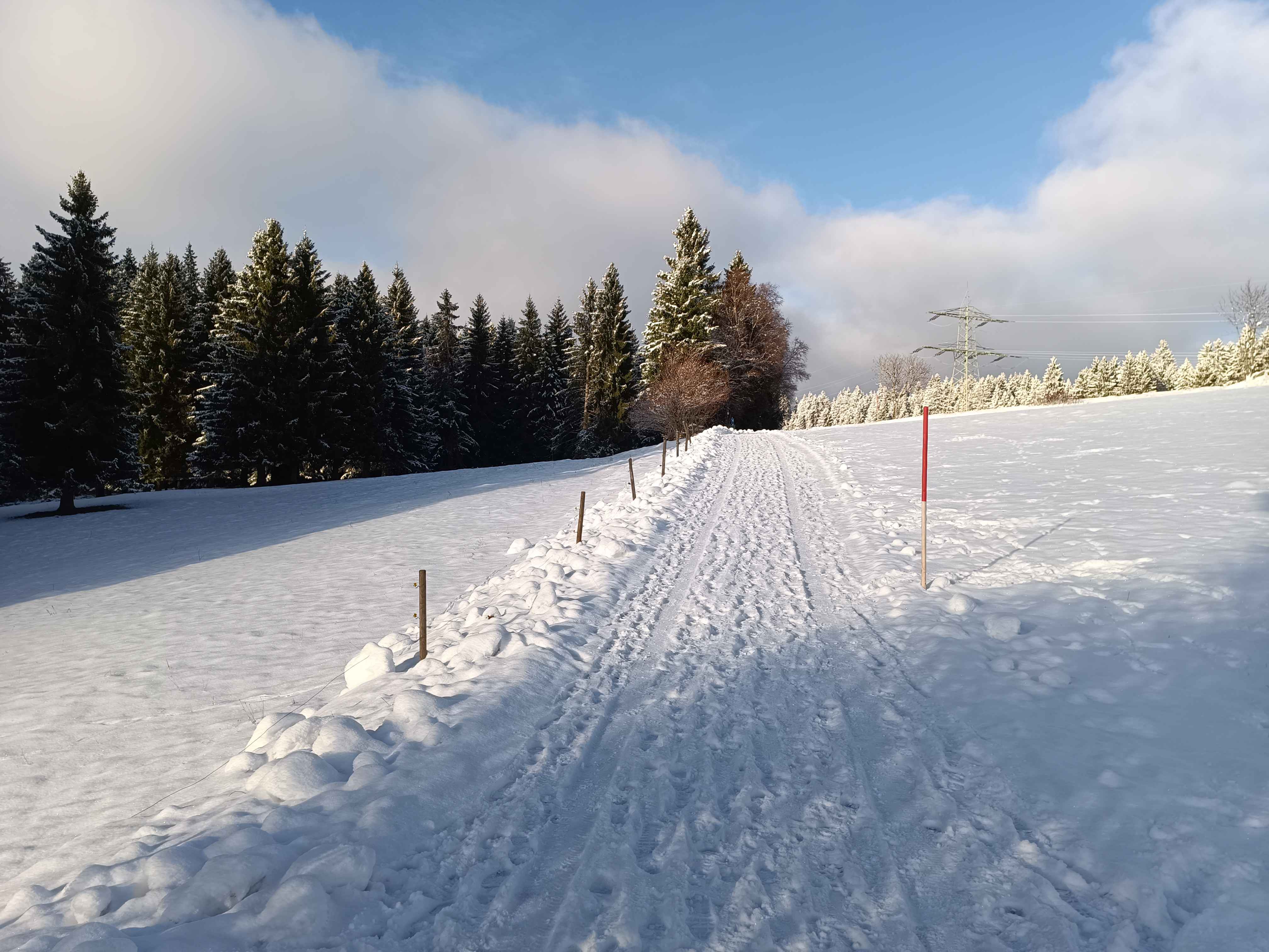 Hackathon v8 impressions