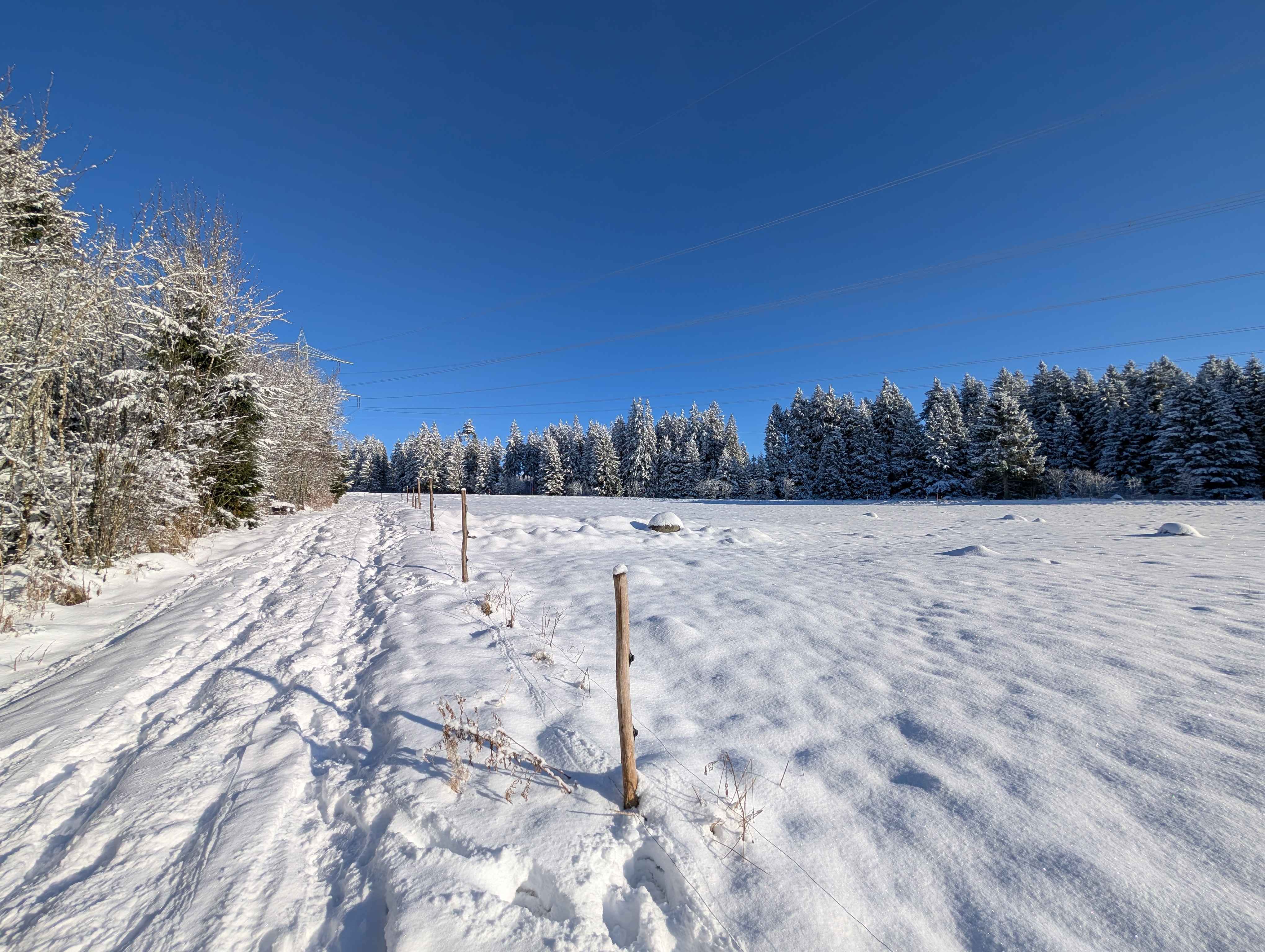 Hackathon v8 impressions